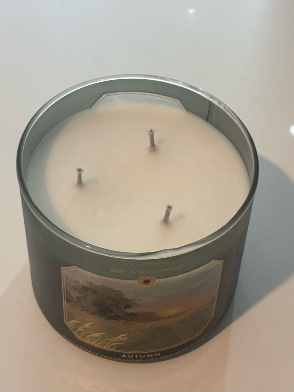 Bath & Body Works Autumn Soy Wax Candle — Dark Green with Gold Accent - Picture 3 of 4